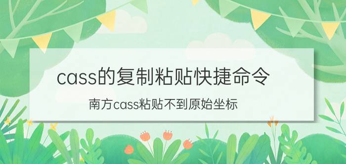 cass的复制粘贴快捷命令 南方cass粘贴不到原始坐标？